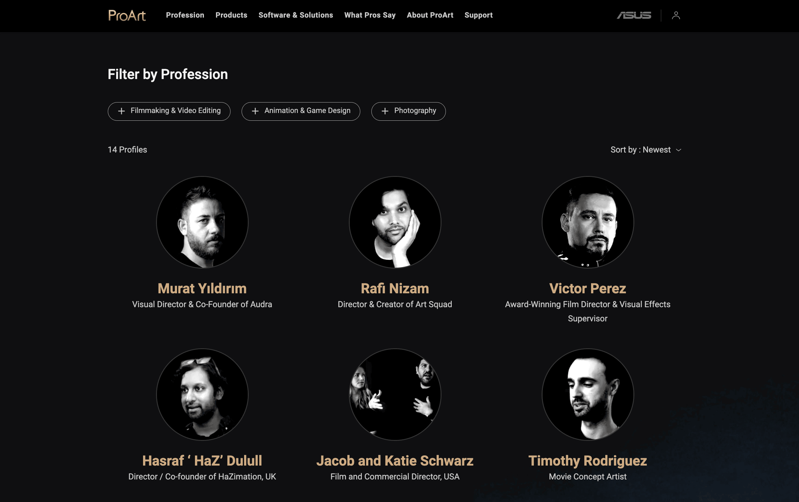 What Pros Say — creator profile grid with profession filters.